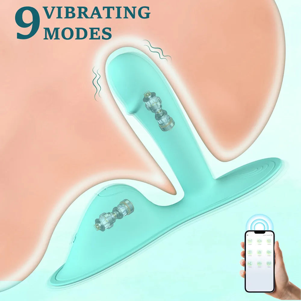 app controlled vibrator