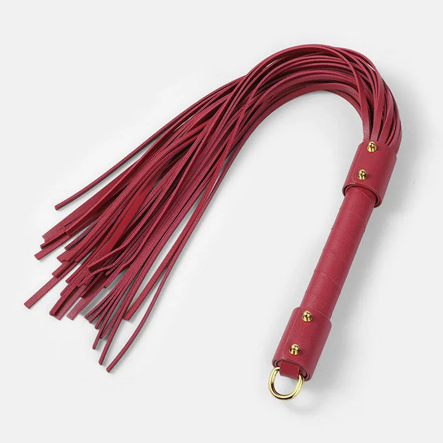 bdsm slave whip