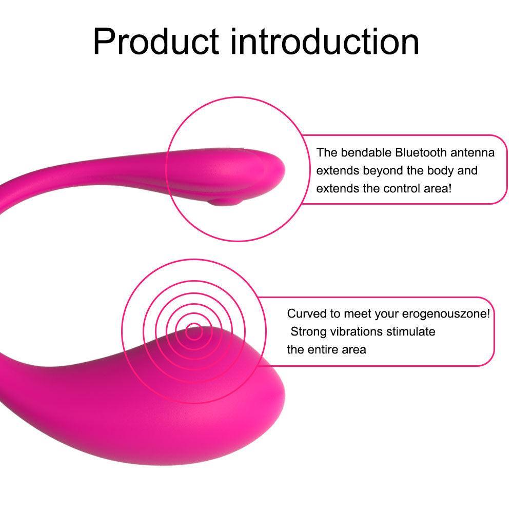 Bluetooth Love Egg Vibrator for Women