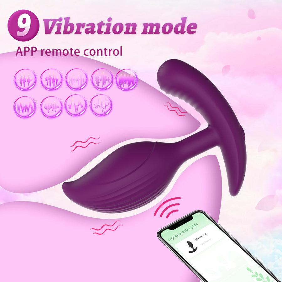 app controlled sex toy