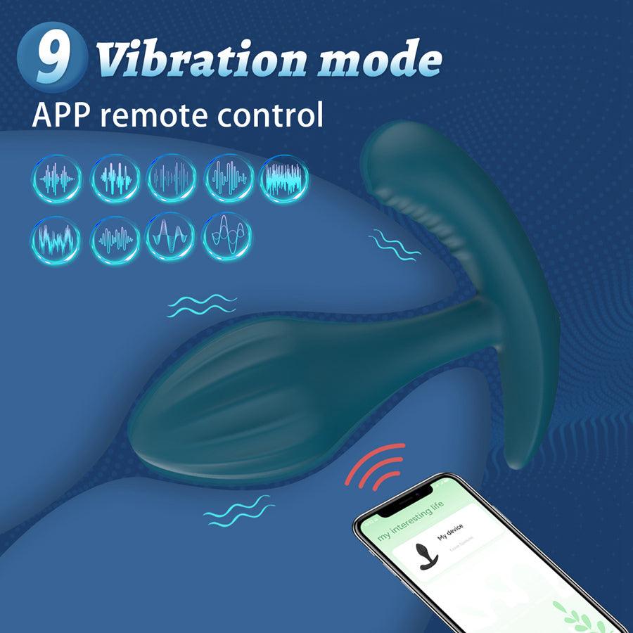 app controlled sex toy