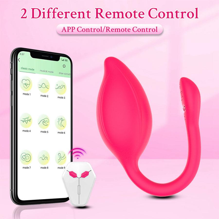 remote control vibrator