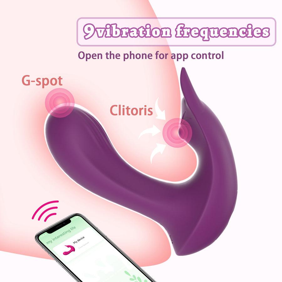 app controlled sex toy