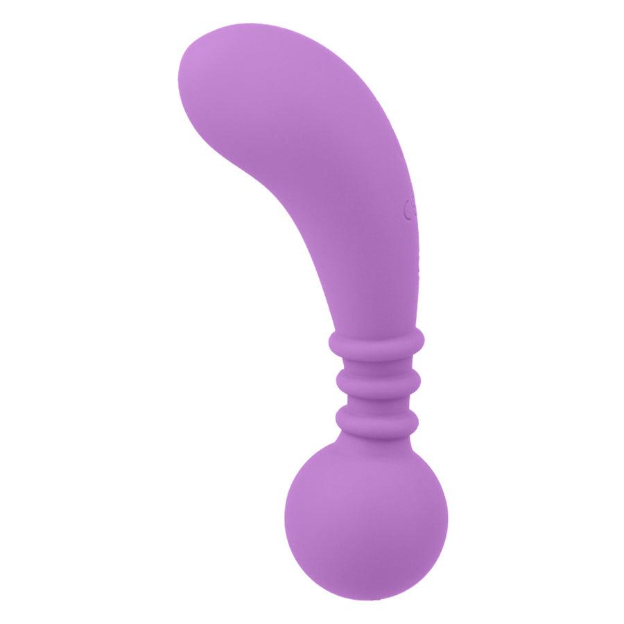 anal toy