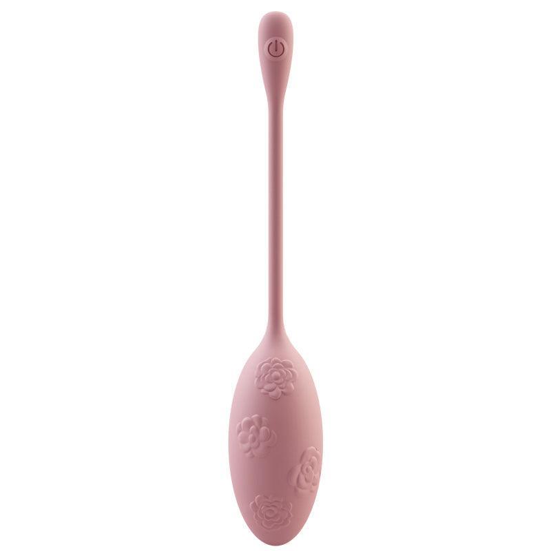 Remote Control Vibrating Egg Sex Toy for Women - xinghaoya official store