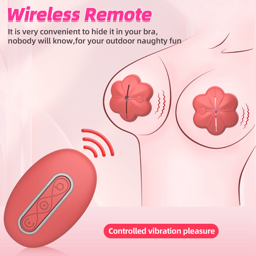 remote sex toy