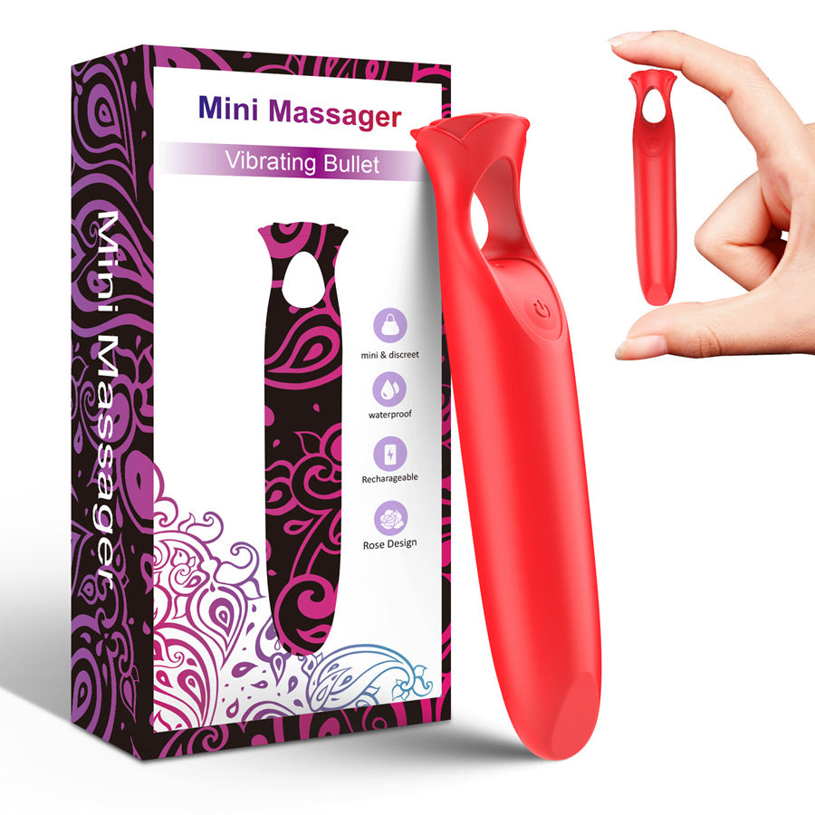 
                  
                    small vibrator
                  
                