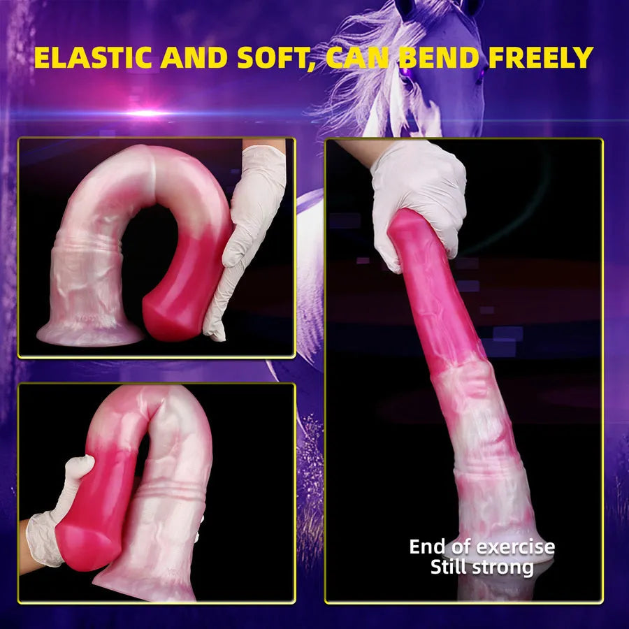 suction cup dildo