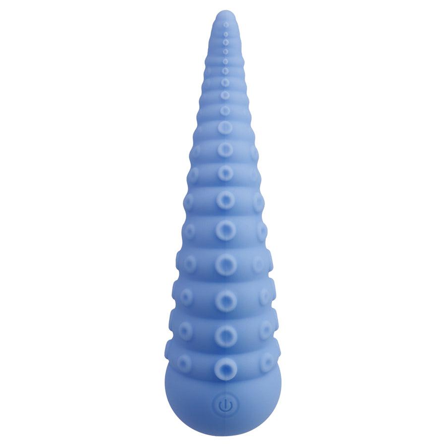 anal toy