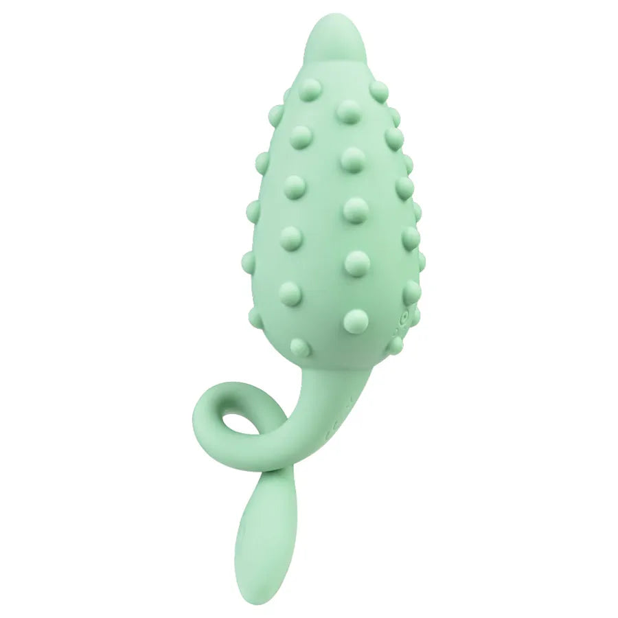 vibrating anal toy