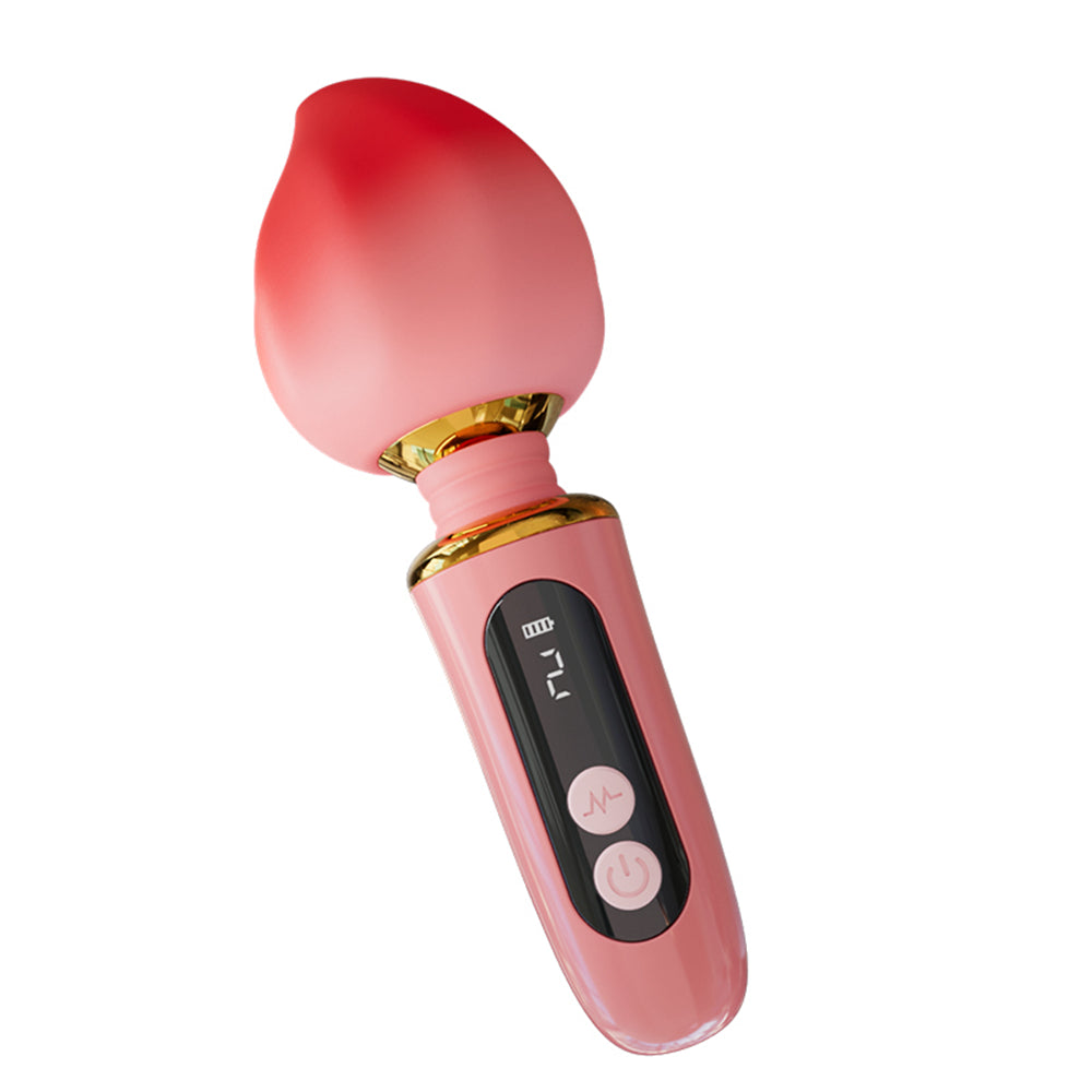 wand sex toy