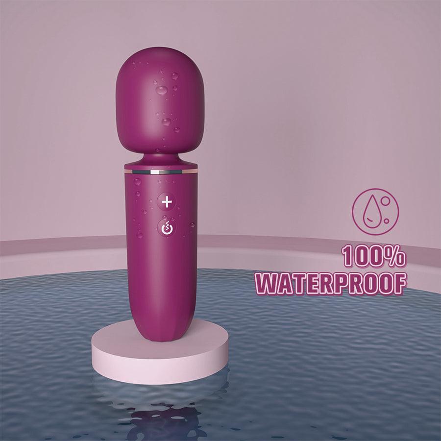 vibrator wand